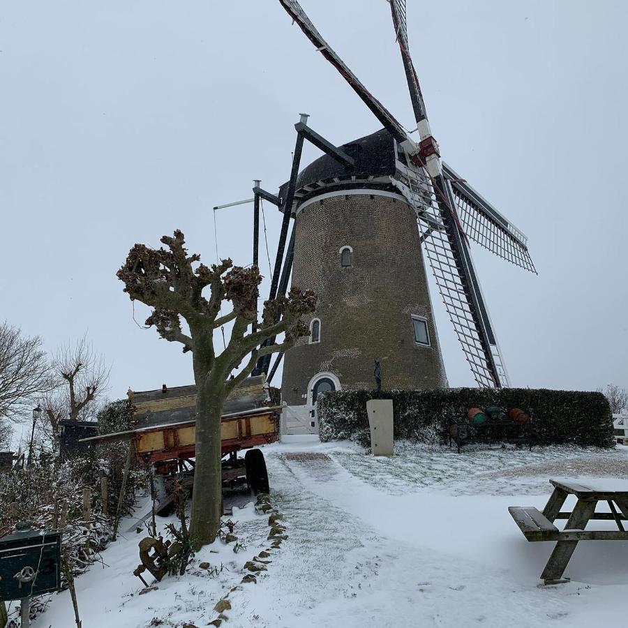 Bed & Breakfast B&B Vakantiehuis 'Brouw' *